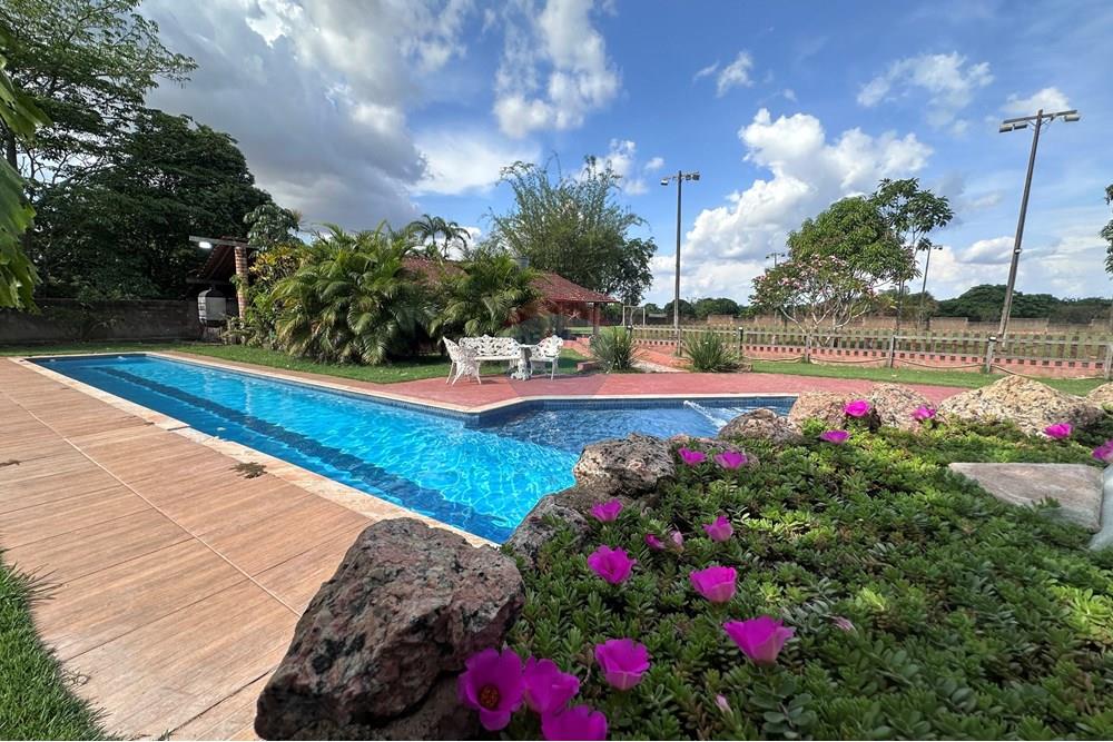 Chácara / Sítio / Fazenda - Venda - Porto Velho , Rondônia - IMG_3895.JPG - 721551076-208