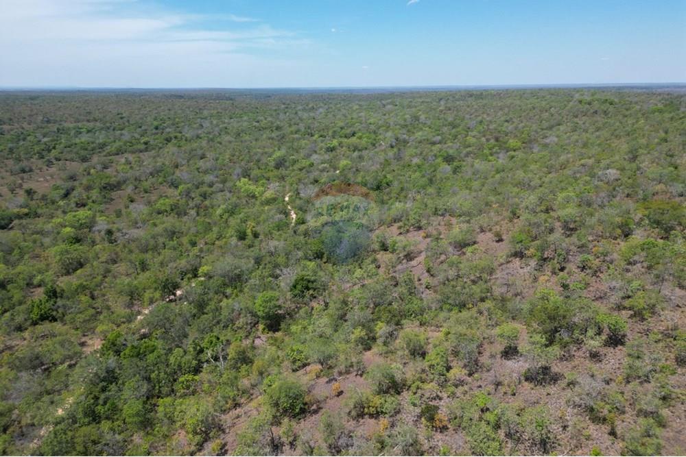 Agro - Venda - Carolina , Maranhão - WhatsApp Image 2025-08-28 at 17.45.07 (1).jpeg - 720991042-3