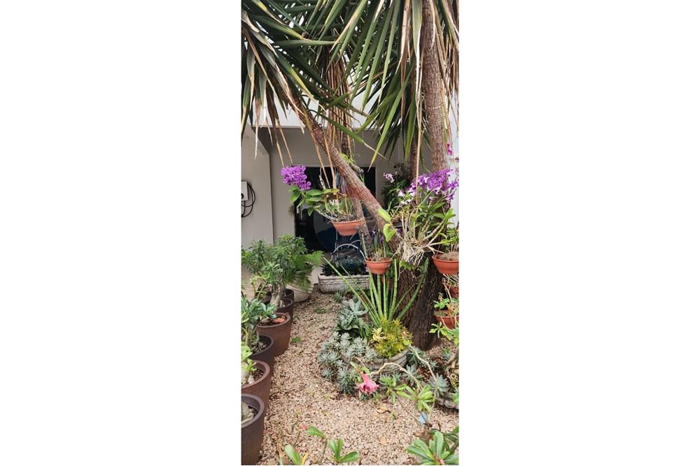 Casa - Venda - Jaciara , Mato Grosso - IMG-20250409-WA0030.jpg - 722201003-28