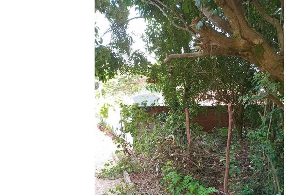 Terreno - Venda - Tibau do Sul , Rio Grande do Norte - Gustavo16.jpeg - 720891150-75