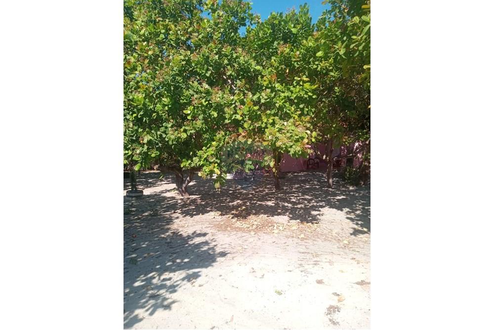 Chácara / Sítio / Fazenda - Venda - Parnaíba , Piauí - WhatsApp Image 2025-10-15 at 09.35.37 (3).jpeg - 722361007-3