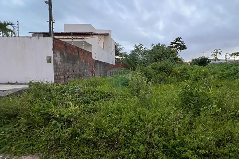 Terreno - Venda - João Pessoa , Paraíba - josenilda.jpg - 720431073-26