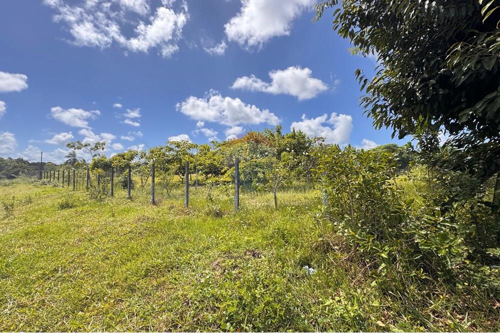 Terreno - Venda - Conde , Paraíba - 17.jpg - 720471011-115