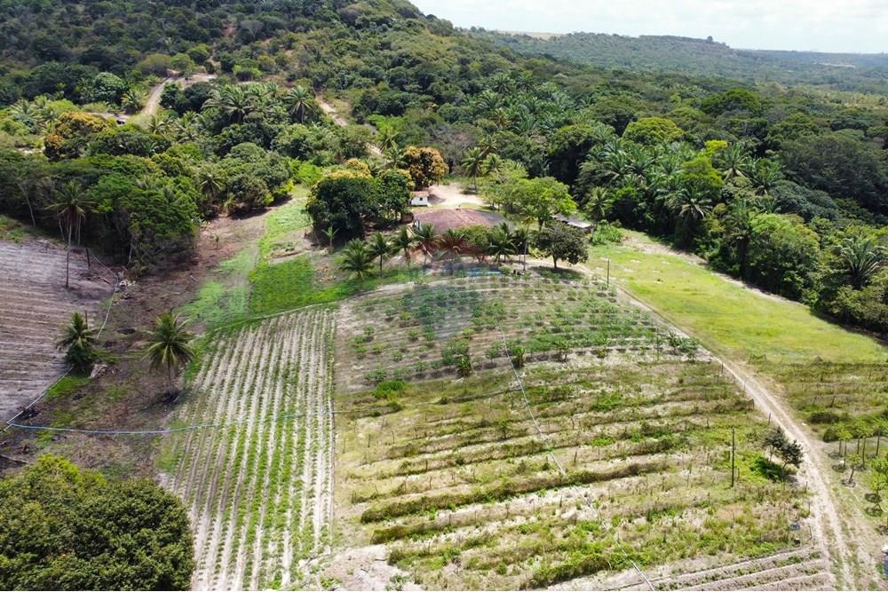 Chácara / Sítio / Fazenda - Venda - Conde , Paraíba - dji_fly_20240921_110238_246_1727098129164_photo_optimized.jpg - 722011055-34