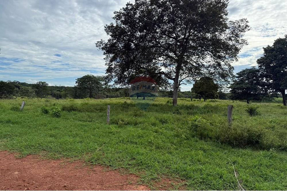 Chácara / Sítio / Fazenda - Venda - São José do Povo , Mato Grosso - IMG-20250407-WA0080.jpg - 720851027-112
