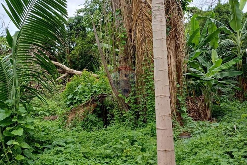 Terreno - Venda - Rondonópolis , Mato Grosso - 3.jpg - 720851102-39