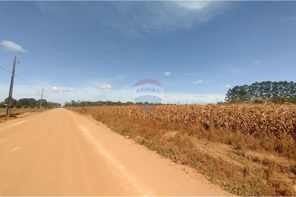 Chácara / Sítio / Fazenda - Venda - Sinop , Mato Grosso - WhatsApp Image 2025-06-10 at 12.15.25.jpeg - 721561039-34