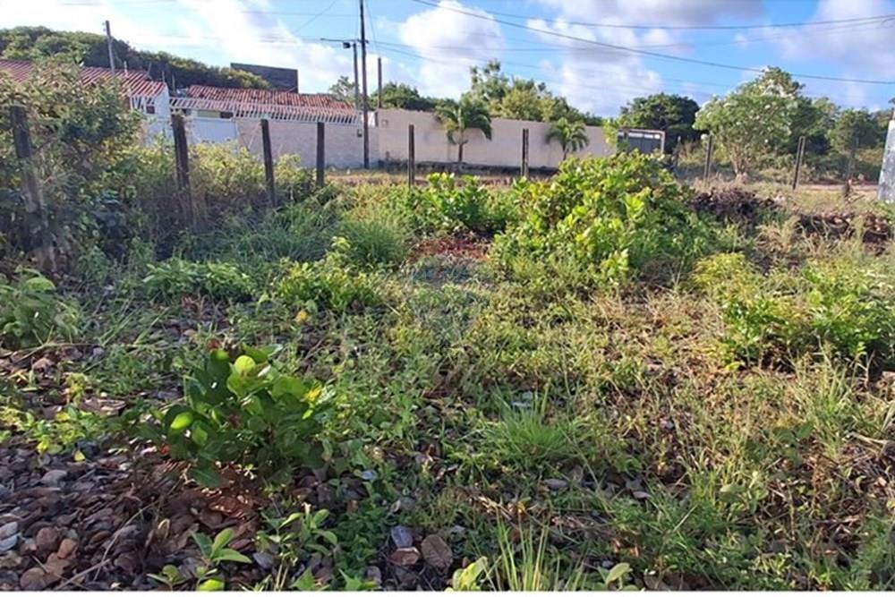 Terreno - Venda - Conde , Paraíba - abd22d61-9784-4452-963f-033a3c412e7a.jpeg - 720871044-98