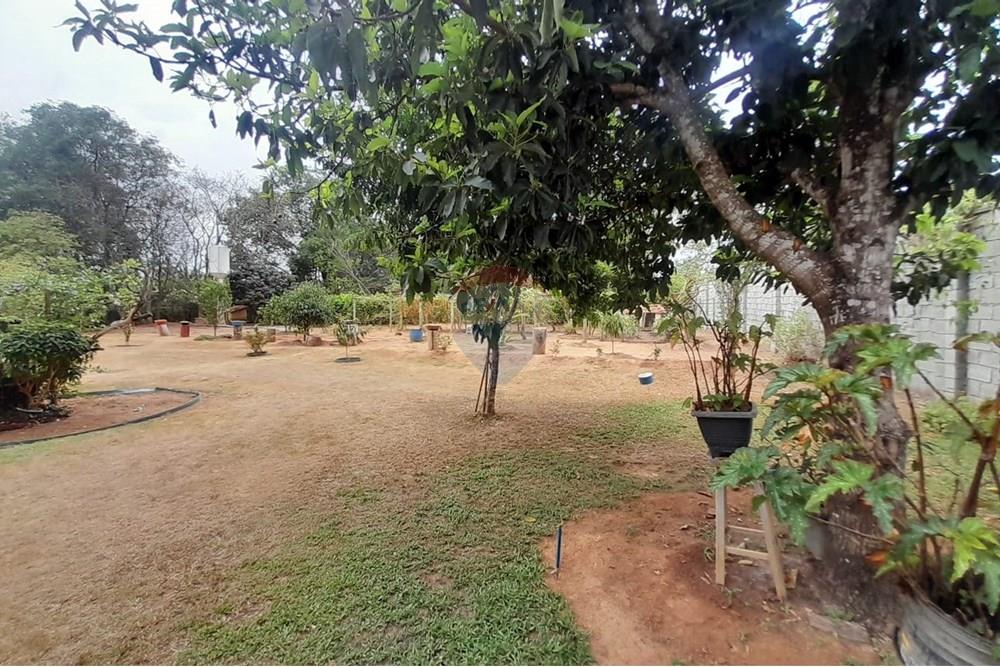 Chácara / Sítio / Fazenda - Venda - Nova Veneza , Goiás - WhatsApp Image 2025-10-08 at 10.28.10.jpeg - 722271015-32