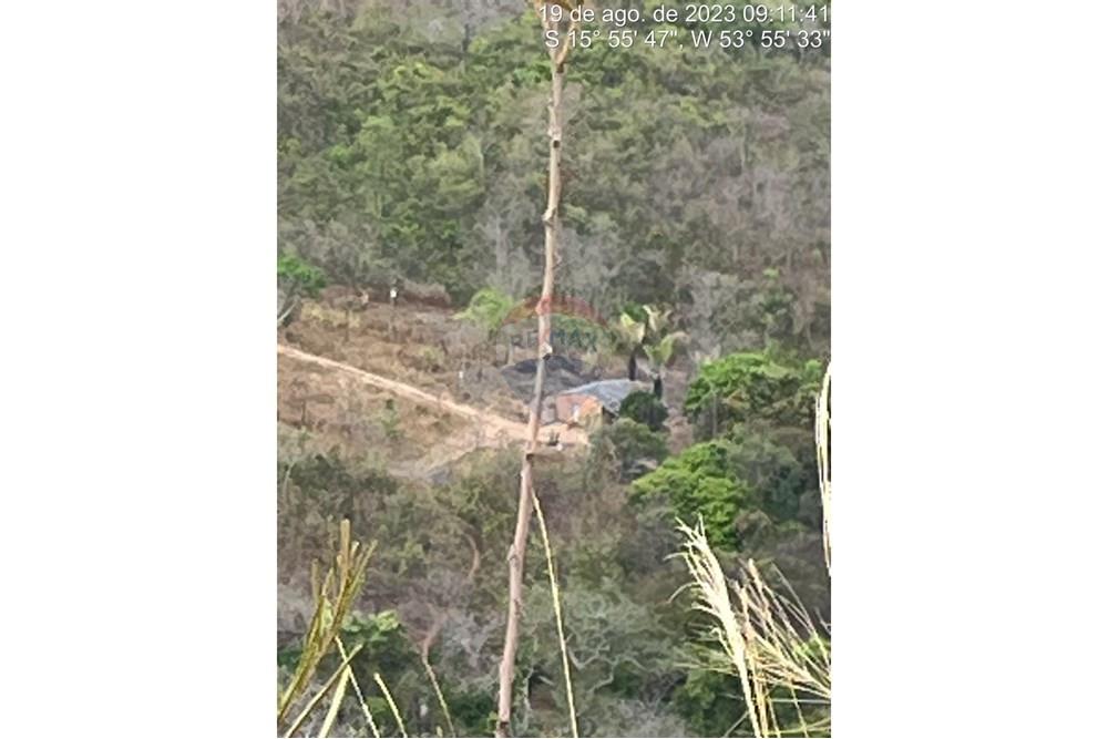 Chácara / Sítio / Fazenda - Venda - Poxoréu , Mato Grosso - WhatsApp Image 2025-02-11 at 13.36.44 (2).jpeg - 720611061-6