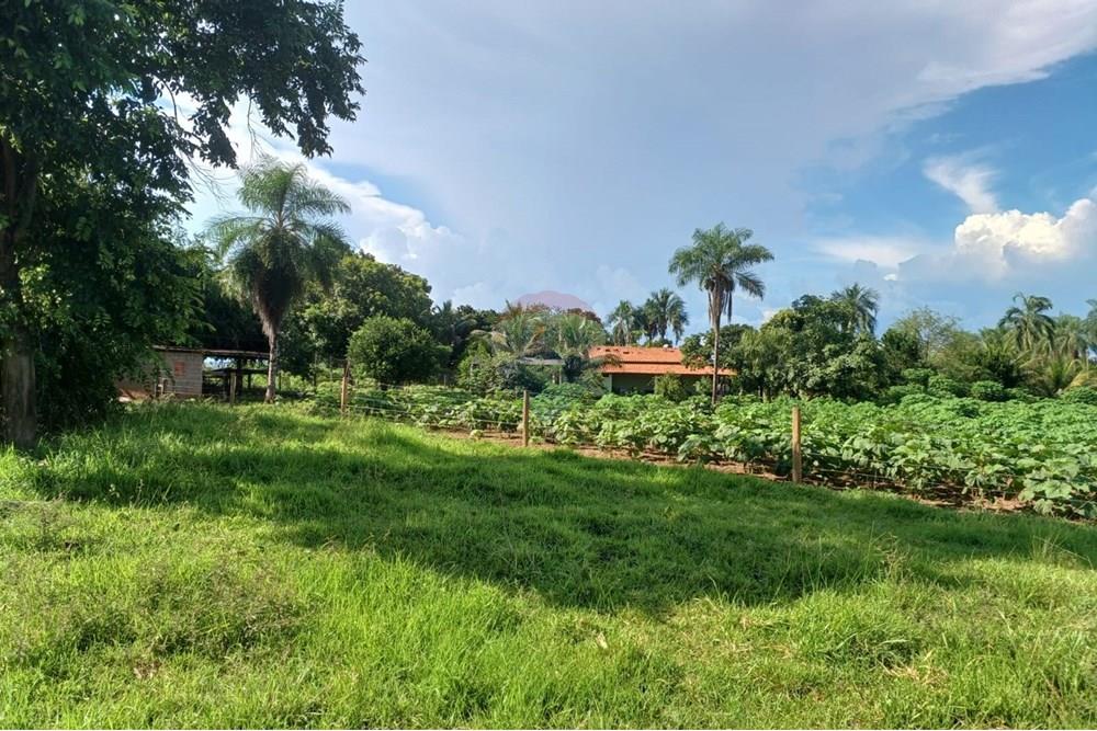 Chácara / Sítio / Fazenda - Venda - São José do Povo , Mato Grosso - WhatsApp Image 2025-04-03 at 17.01.51 (3).jpeg - 722261017-2