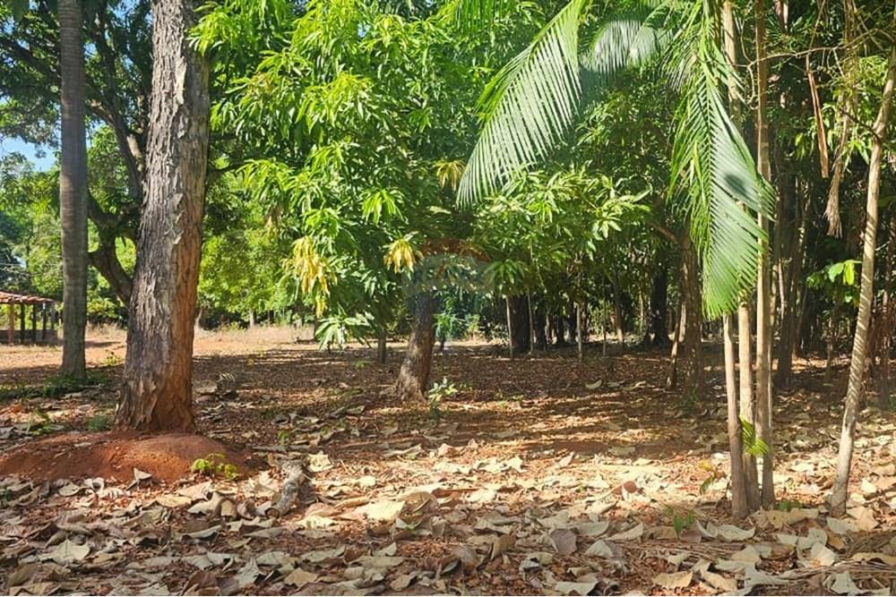 Chácara / Sítio / Fazenda - Venda - Araguaína , Tocantins - WhatsApp Image 2025-08-06 at 14.32.29 (2).jpeg - 722171039-19