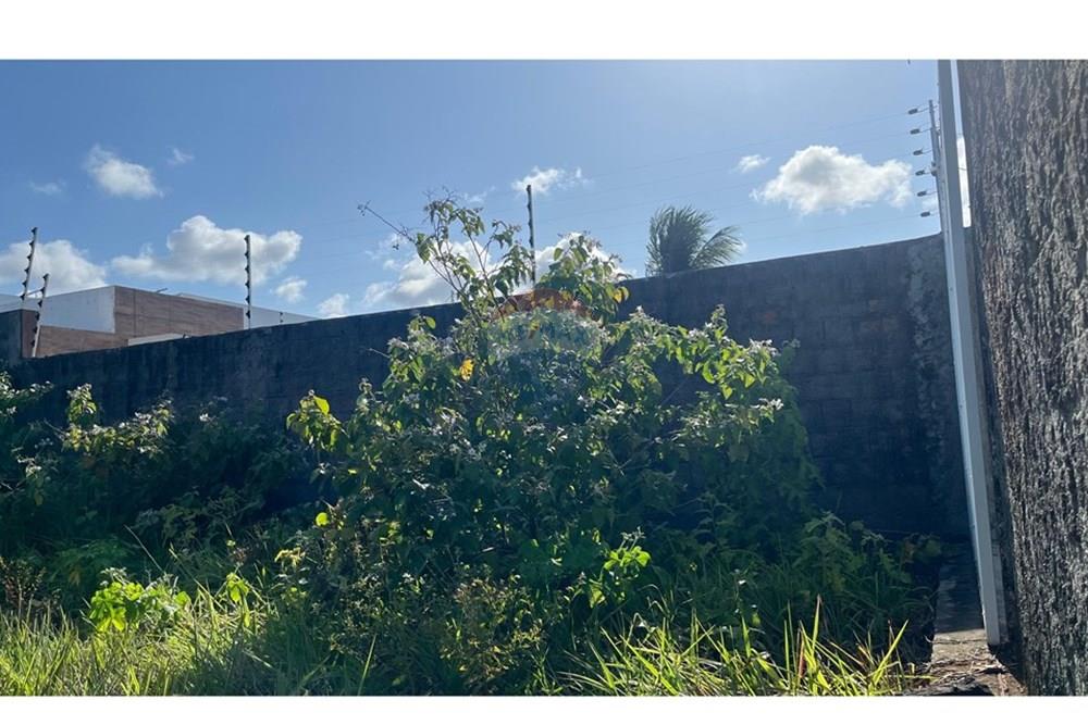 Terreno - Venda - Conde , Paraíba - WhatsApp Image 2025-10-16 at 14.18.39.jpeg - 720871004-214