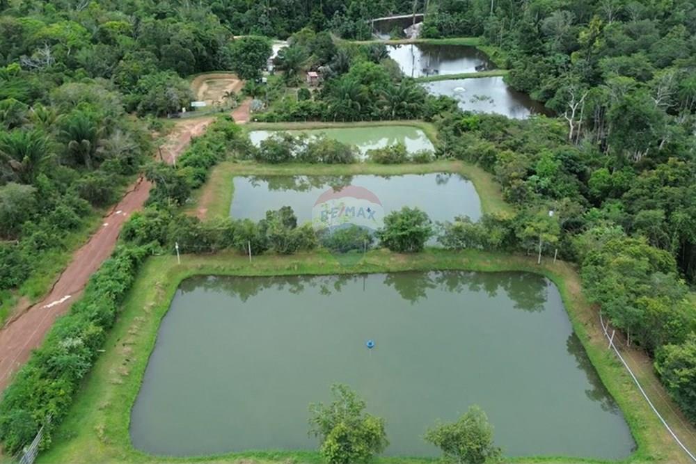 Chácara / Sítio / Fazenda - Venda - Novo Airão , Amazonas - Tanques de Peixes10.jpg - 720721055-29