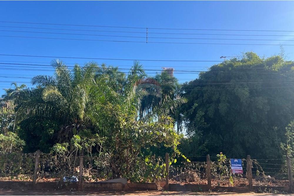 Terreno - Venda - Rio Verde , Goiás - WhatsApp Image 2025-07-01 at 10.48.15.jpeg - 722371005-9