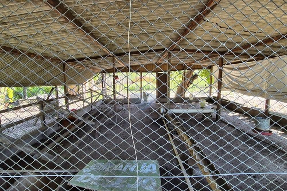 Chácara / Sítio / Fazenda - Venda - Mamanguape , Paraíba - 20250207_145441.jpg - 722011055-45