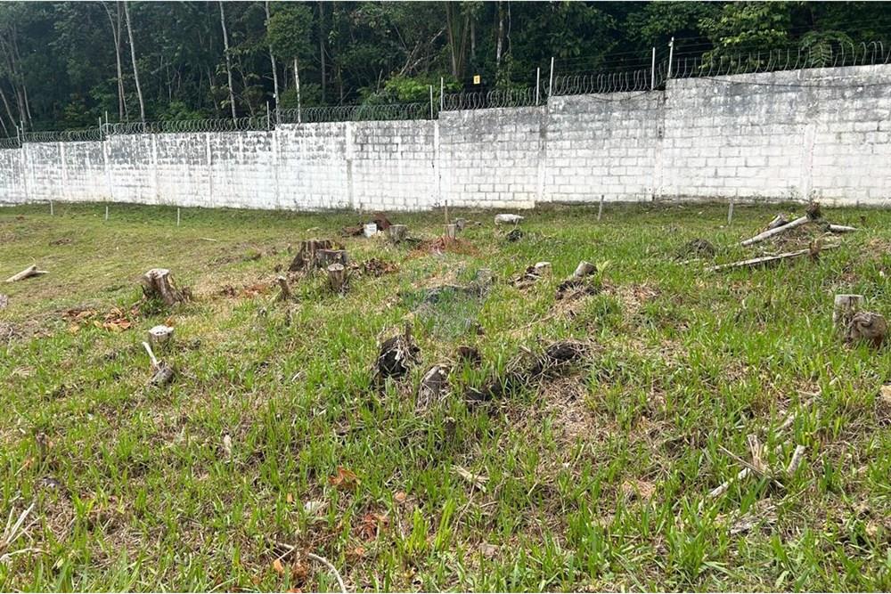 Terreno - Venda - Manaus , Amazonas - WhatsApp Image 2025-09-18 at 15.06.55 (1).jpeg - 720661008-119