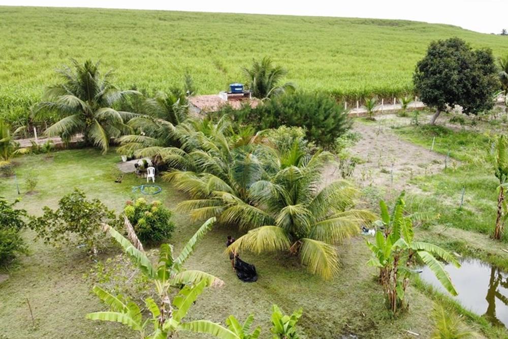 Chácara / Sítio / Fazenda - Venda - Alhandra , Paraíba - dji_fly_20250907_152350_893_1757269455806_photo_optimized.jpg - 722011055-48