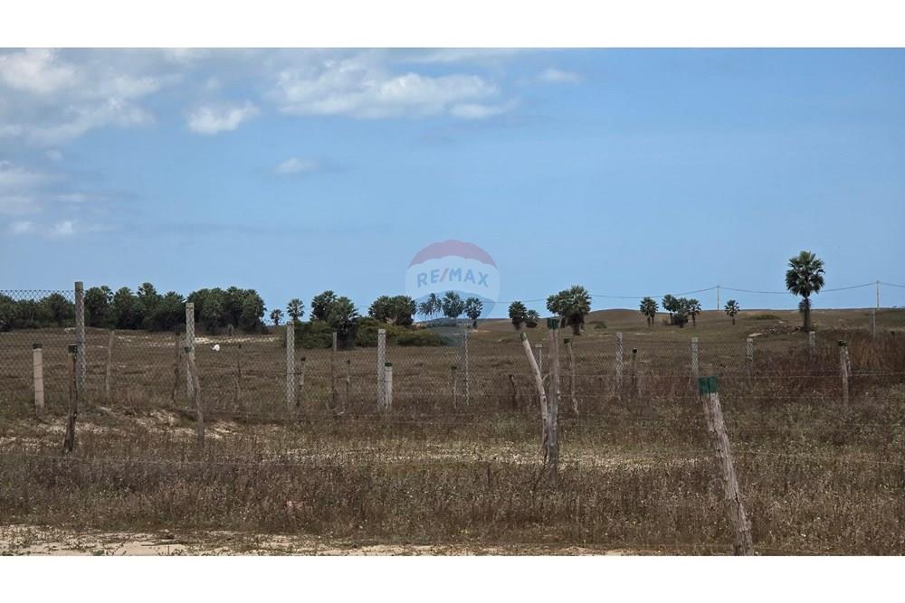 Terreno - Venda - Cruz , Ceará - 20250817_105523.jpg - 722341001-75