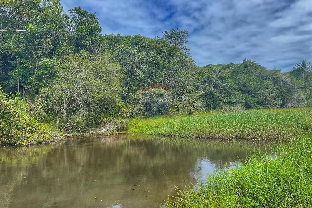 Terreno - Venda - Conde , Paraíba - WhatsApp Image 2024-07-24 at 14.36.25.jpeg - 720871004-166