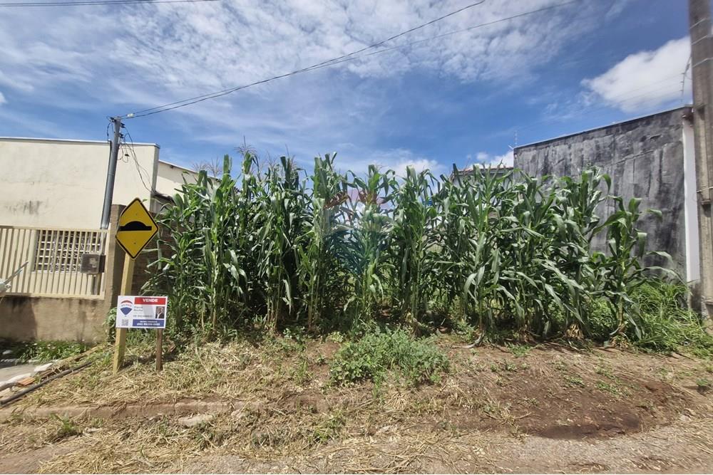 Terreno - Venda - Barra do Garças , Mato Grosso - WhatsApp Image 2025-02-24 at 15.08.07.jpeg - 722221026-18