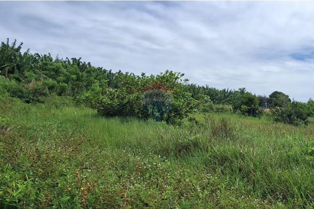 Terreno - Venda - Pitimbu , Paraíba - b3d98d19-0ee0-49ae-b37c-aeacca057c5a.jpeg - 720871044-90