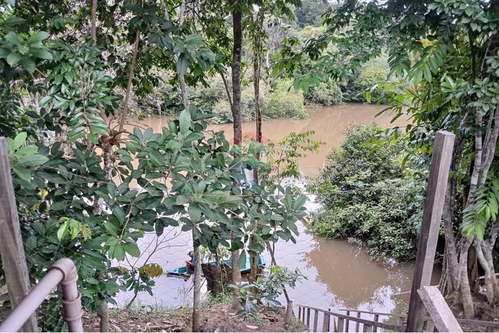 Chácara / Sítio / Fazenda - Venda - Porto Velho , Rondônia - Imagem do WhatsApp de 2025-02-12 à(s) 22.49.59_e801ab4f.jpg - 721551029-23