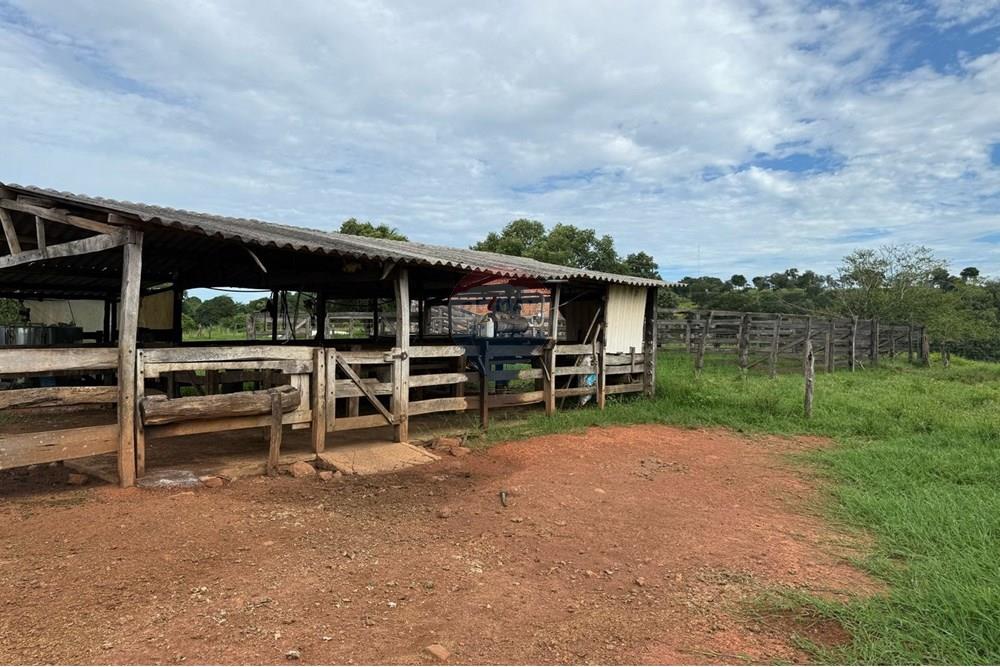 Chácara / Sítio / Fazenda - Venda - São José do Povo , Mato Grosso - IMG-20250407-WA0062.jpg - 720851027-112