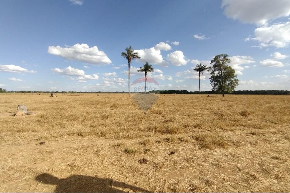 Chácara / Sítio / Fazenda - Venda - Sinop , Mato Grosso - WhatsApp Image 2025-08-07 at 14.46.29.jpeg - 721561039-35