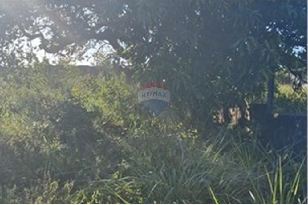 Terreno - Venda - Pitimbu , Paraíba - 26d1e992-be2d-4485-8633-1f54fd9fa059.jpeg - 720871044-83