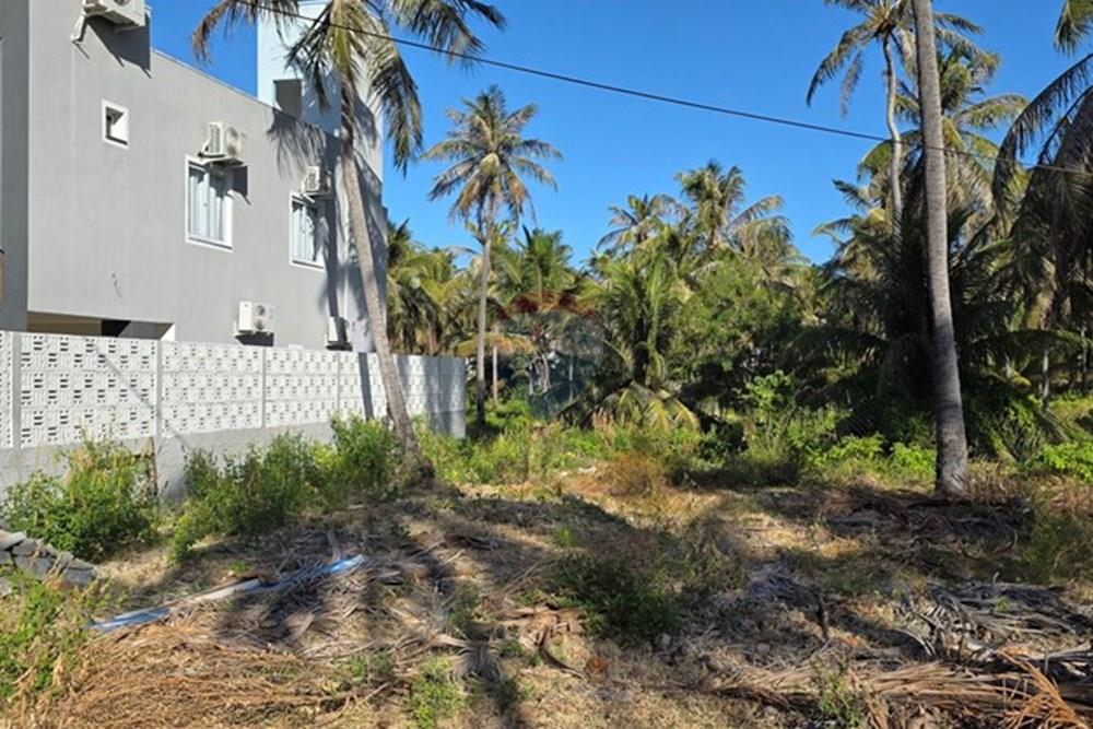 Terreno - Venda - Trairi , Ceará - 1000189517.jpg - 722341001-103