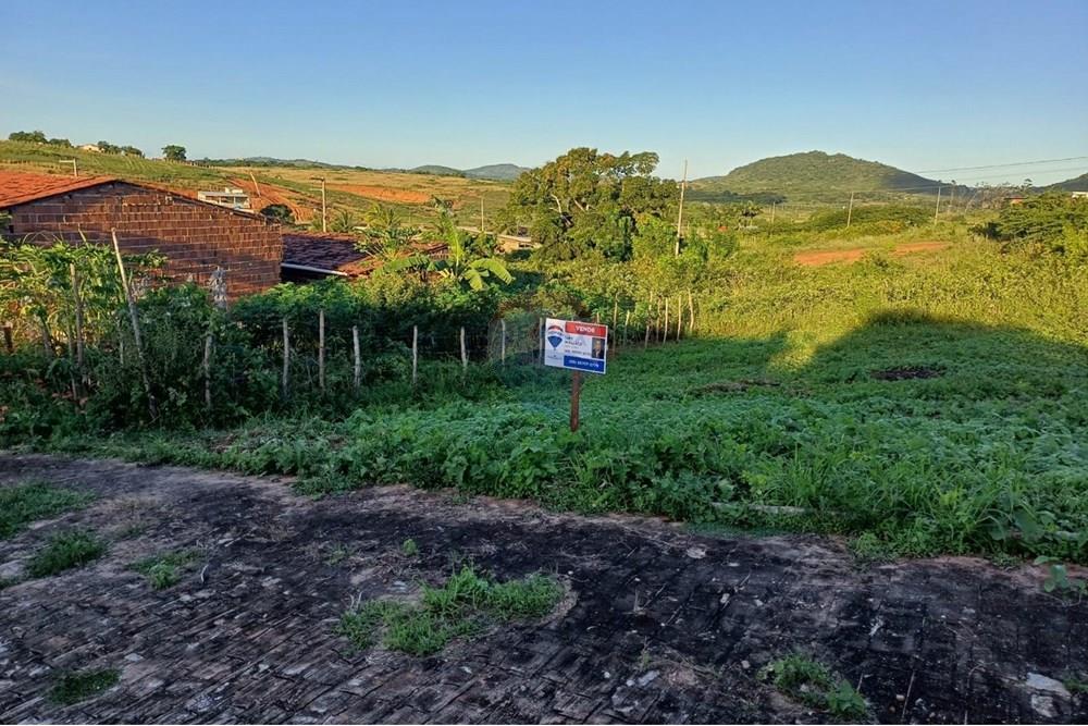 Terreno - Venda - Pirpirituba , Paraíba - WhatsApp Image 2025-06-19 at 11.47.51.jpeg - 720551007-20