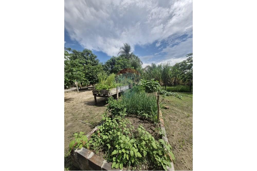 Chácara / Sítio / Fazenda - Venda - Barra do Garças , Mato Grosso - WhatsApp Image 2024-11-27 at 21.08.32 (1).jpeg - 722221026-15