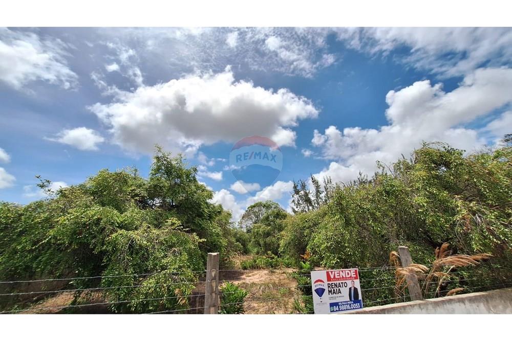 Terreno - Venda - Nísia Floresta , Rio Grande do Norte - Imagem do WhatsApp de 2025-02-14 à(s) 14.28.58_8b2062bb.jpg - 720891106-29