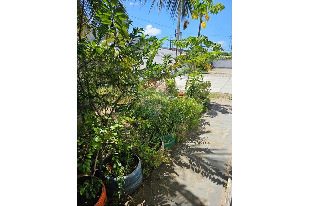 Galpão - Alugar - Parnamirim , Rio Grande do Norte - WhatsApp Image 2025-07-11 at 15.38.32.jpeg - 720891003-86