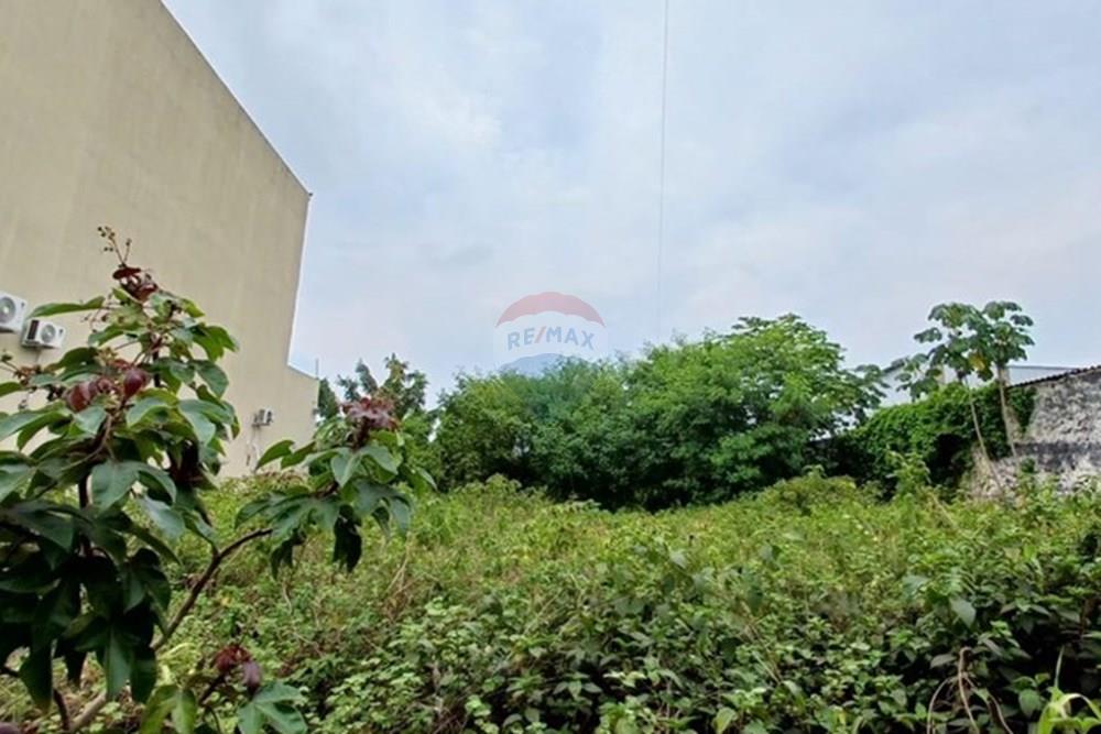 Terreno - Venda - Manaus , Amazonas - Dentro do terreno de 2.610m2.jpg - 722051011-206