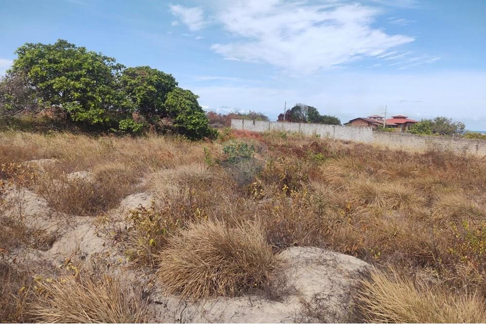 Terreno - Venda - Conde , Paraíba - WhatsApp Image 2024-12-05 at 21.40.54 (3).jpeg - 720871031-83
