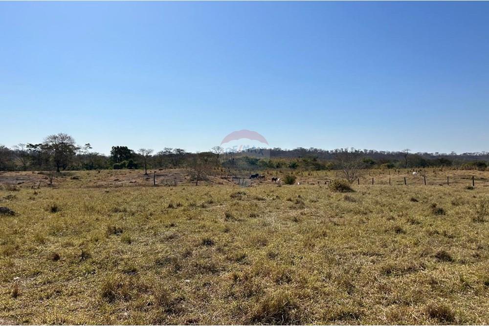 Fazenda - Venda - São José do Povo , Mato Grosso - WhatsApp Image 2025-08-20 at 09.44.08 (8).jpeg - 720561029-219
