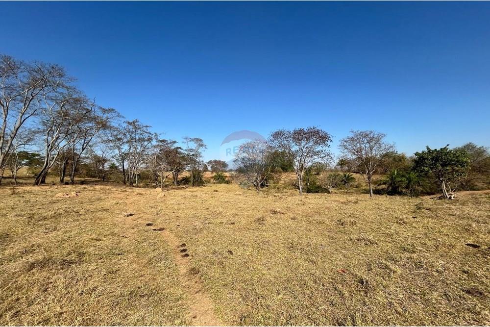 Fazenda - Venda - São José do Povo , Mato Grosso - WhatsApp Image 2025-08-20 at 09.44.08 (13).jpeg - 720561029-219