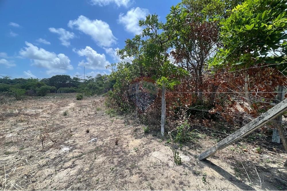 Terreno - Venda - Conde , Paraíba - WhatsApp Image 2025-01-02 at 15.01.09 (2).jpeg - 720871004-173