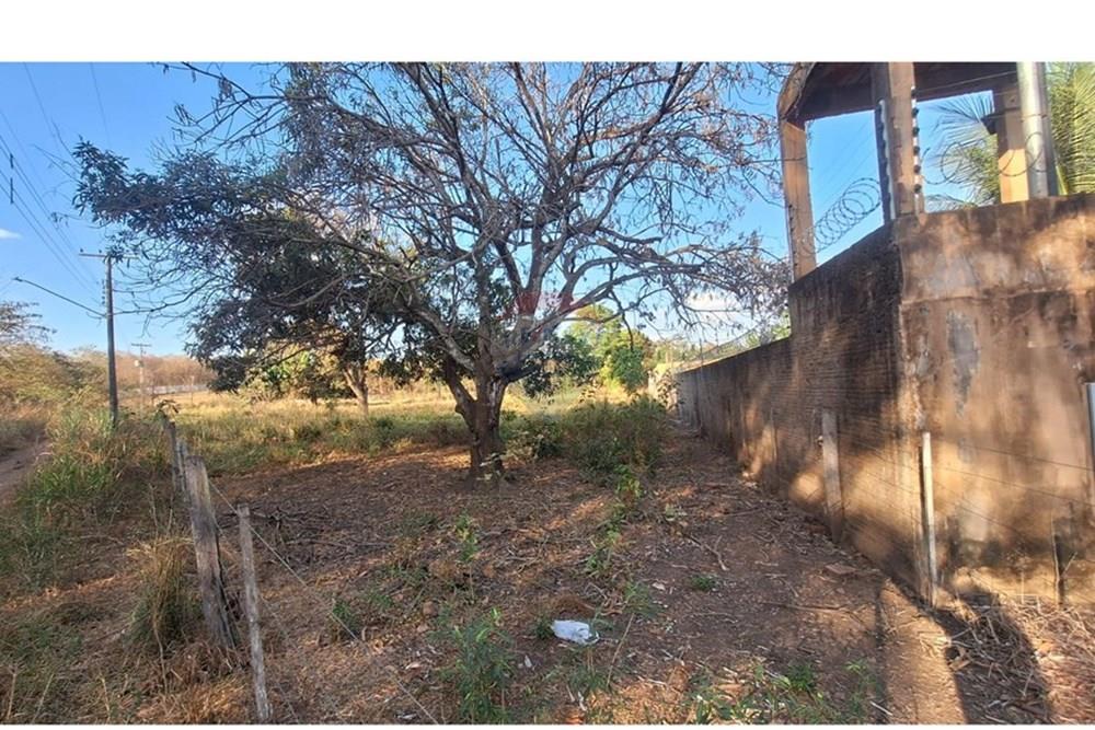 Terreno - Venda - Rondonópolis , Mato Grosso - IMG-20250830-WA0053.jpg - 721981068-5