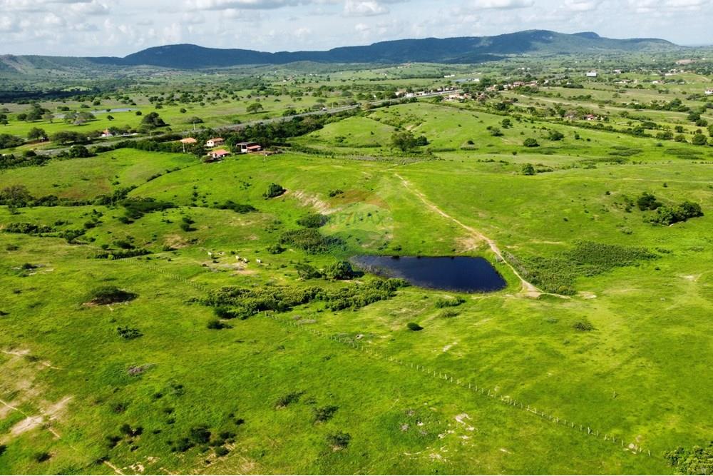 Chácara / Sítio / Fazenda - Venda - Riachão do Bacamarte , Paraíba - dji_fly_20250215_150818_487_1739642977204_photo_optimized.jpg - 722011055-39