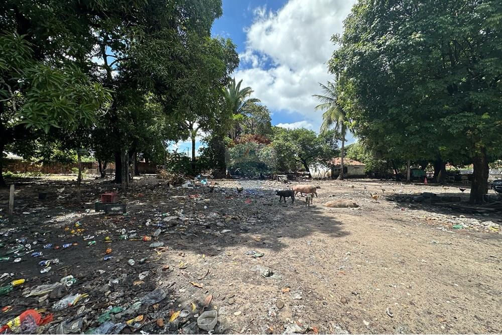 Terreno - Alugar - Fortaleza , Ceará - WhatsApp Image 2025-04-24 at 11.14.03.jpeg - 721621017-82