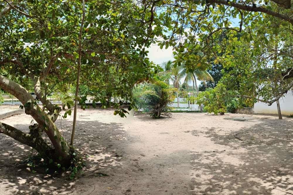 Chácara / Sítio / Fazenda - Venda - Conde , Paraíba - WhatsApp Image 2024-02-02 at 13.55.00.jpeg - 720871004-212