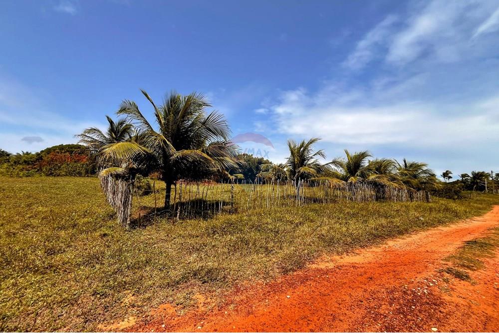 Terreno - Venda - Touros , Rio Grande do Norte - WhatsApp Image 2025-09-23 at 18.39.12.jpeg - 720891024-232