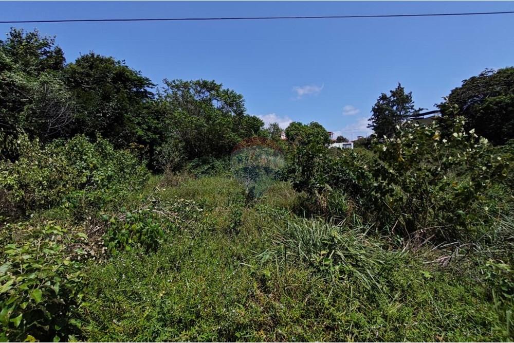 Terreno - Venda - Conde , Paraíba - WhatsApp Image 2025-09-19 at 09.55.06 (3).jpeg - 720871009-200