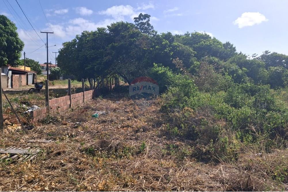 Terreno - Venda - Conde , Paraíba - 6ff2520d-d09b-459c-accf-73d03ca24105.jpeg - 720871044-69