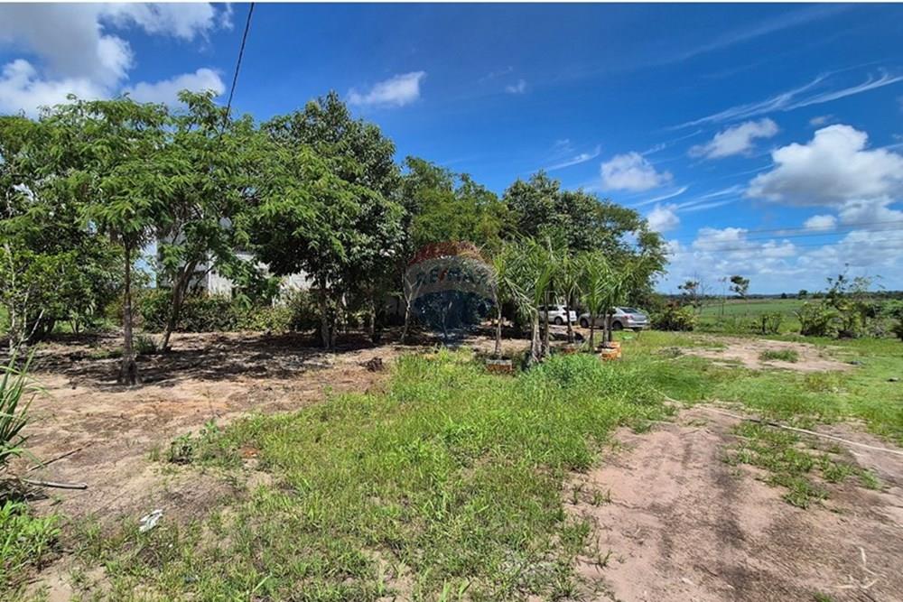 Galpão - Venda - Pedras de Fogo , Paraíba - 20250207_102914.jpg - 722011055-41