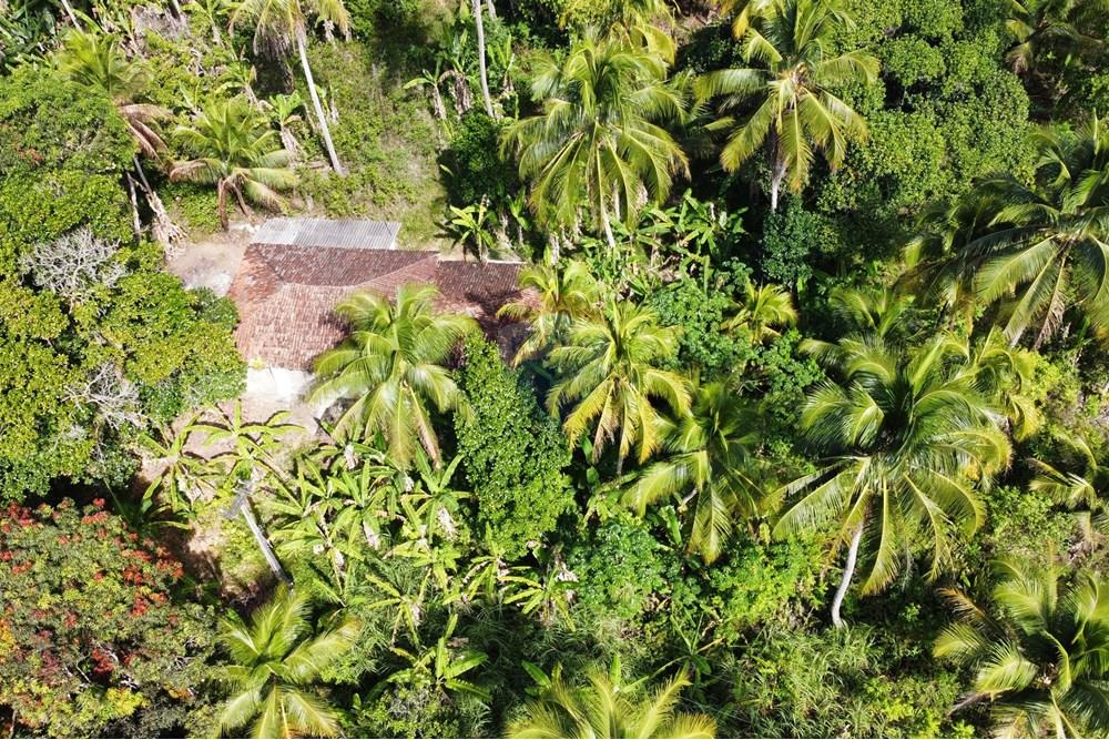 Chácara / Sítio / Fazenda - Venda - Conde , Paraíba - dji_fly_20250123_143002_396_1737653411516_photo_optimized1.jpg - 722011055-36