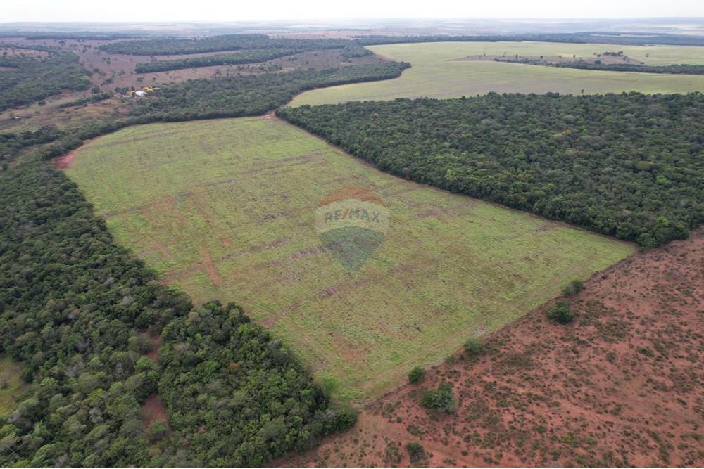 Chácara / Sítio / Fazenda - Venda - Serranópolis , Goiás - WhatsApp Image 2025-09-22 at 11.41.00.jpeg - 722301005-27